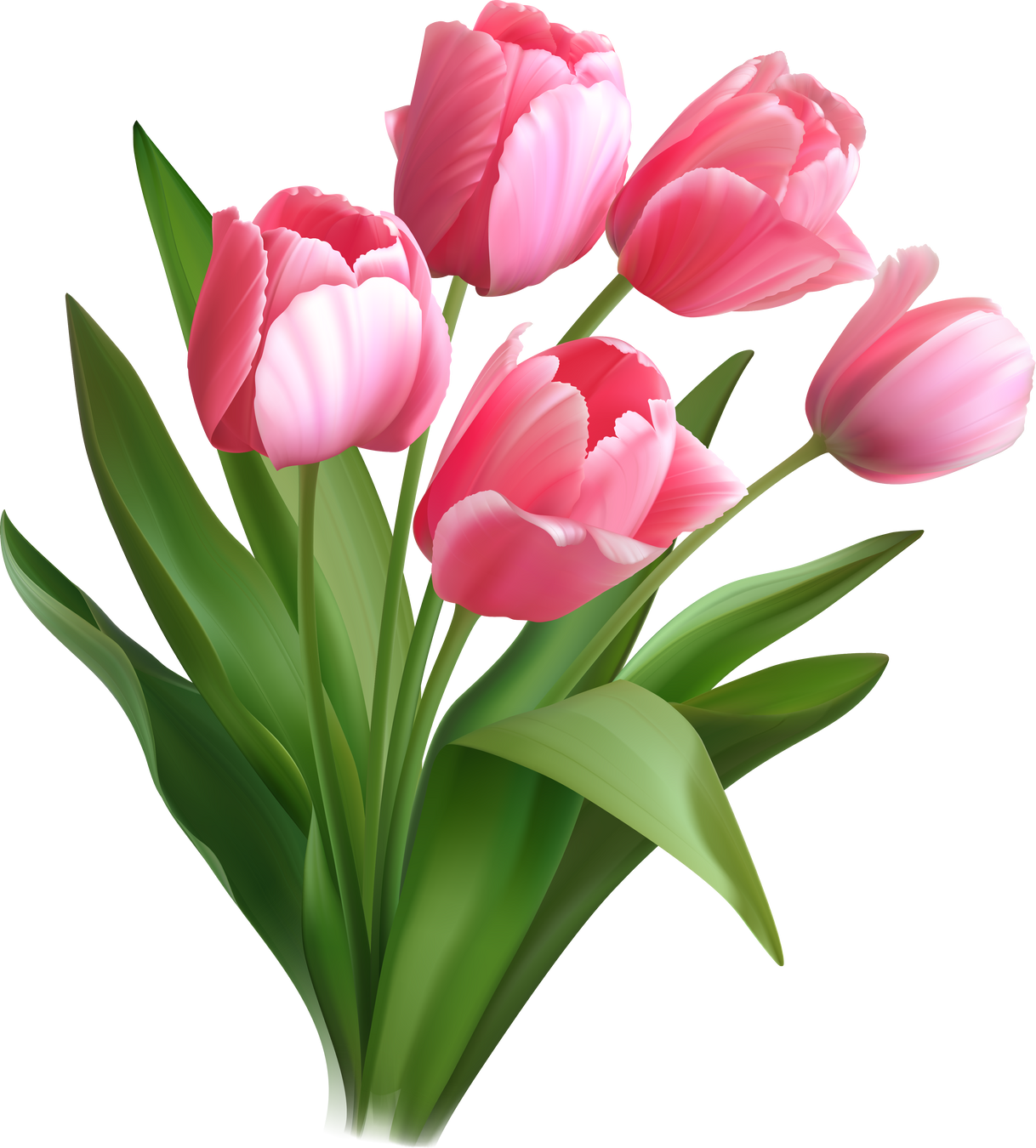 Pink Tulip bouquet