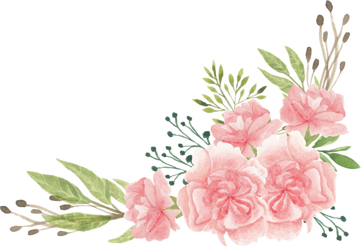 Watercolor Pink Carnation Flowers