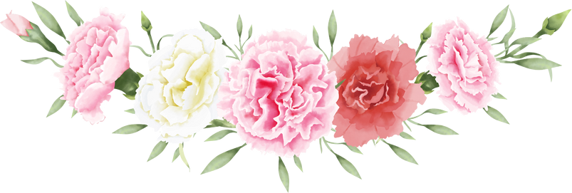 Carnation Flowers Illustration