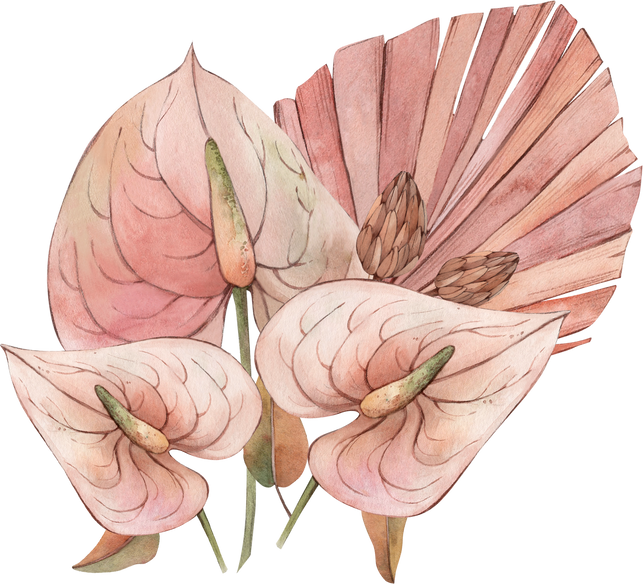 hand drawn watercolor  anthurium pink flowers and palm leaves  composition