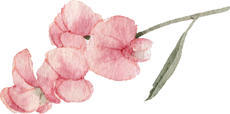 Sweet pea watercolor