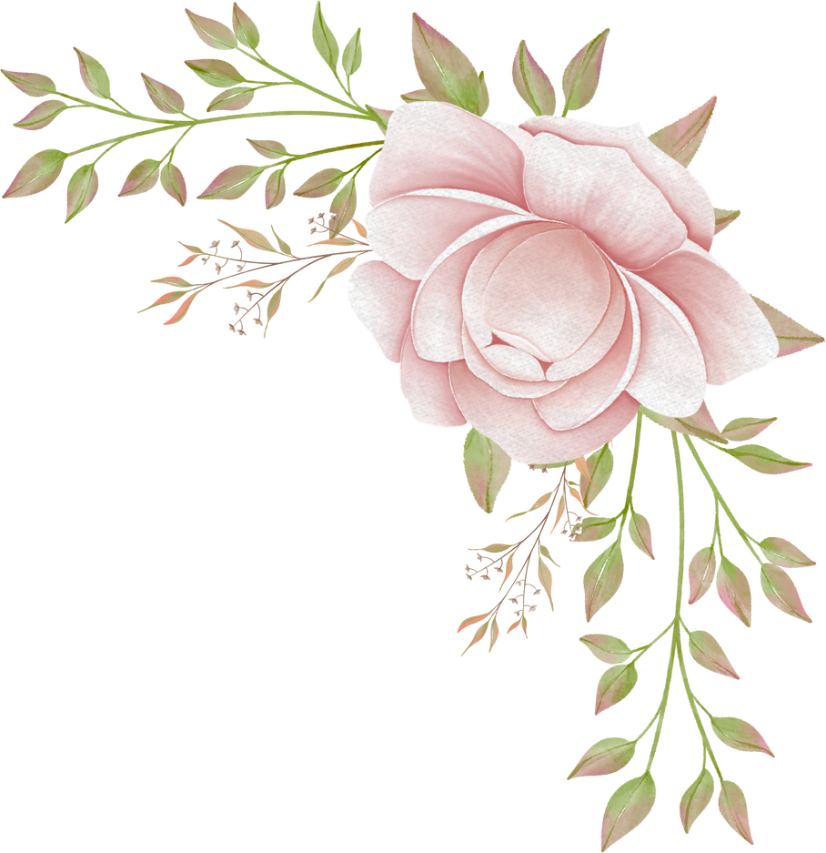 Peony Bouquet Illustration