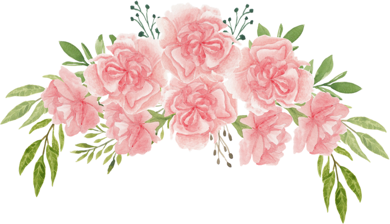 Watercolor Pink Carnation Flowers