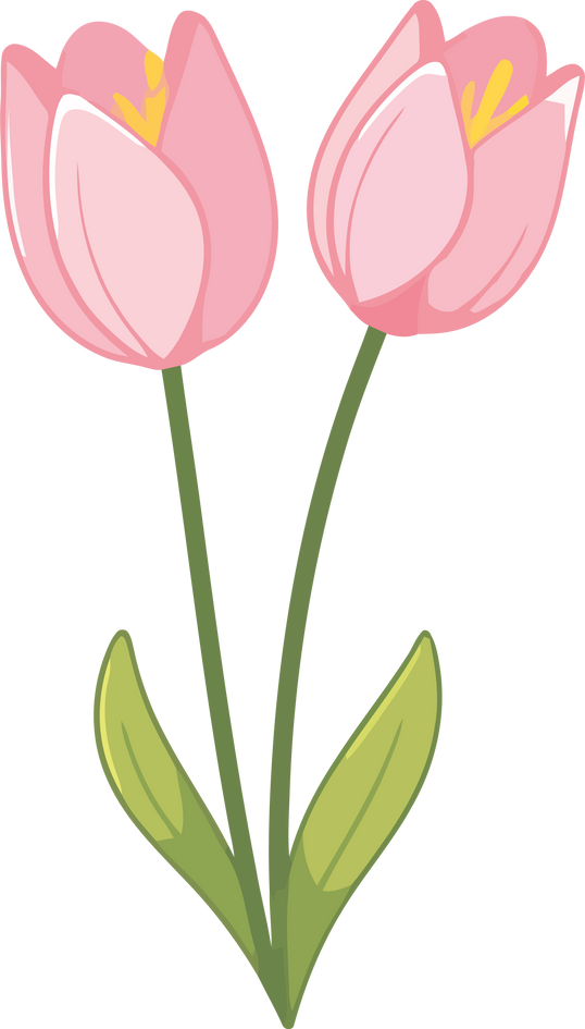 beauty pink tulips flowers icon