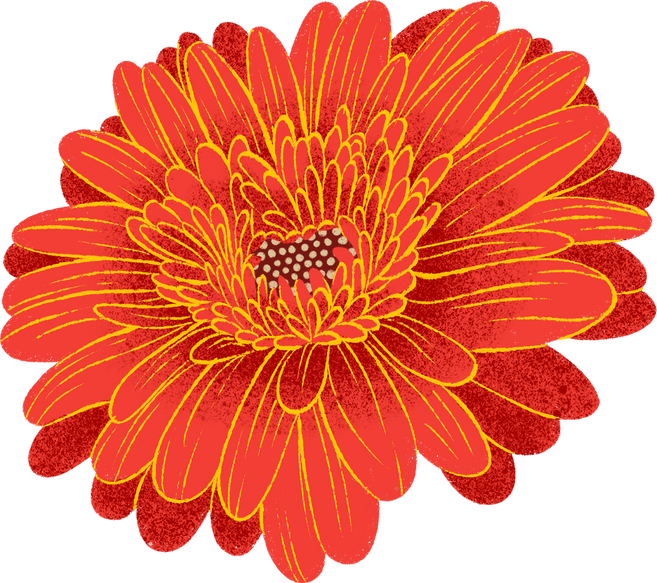 Argentina Retro Print Gerbera Flower Head